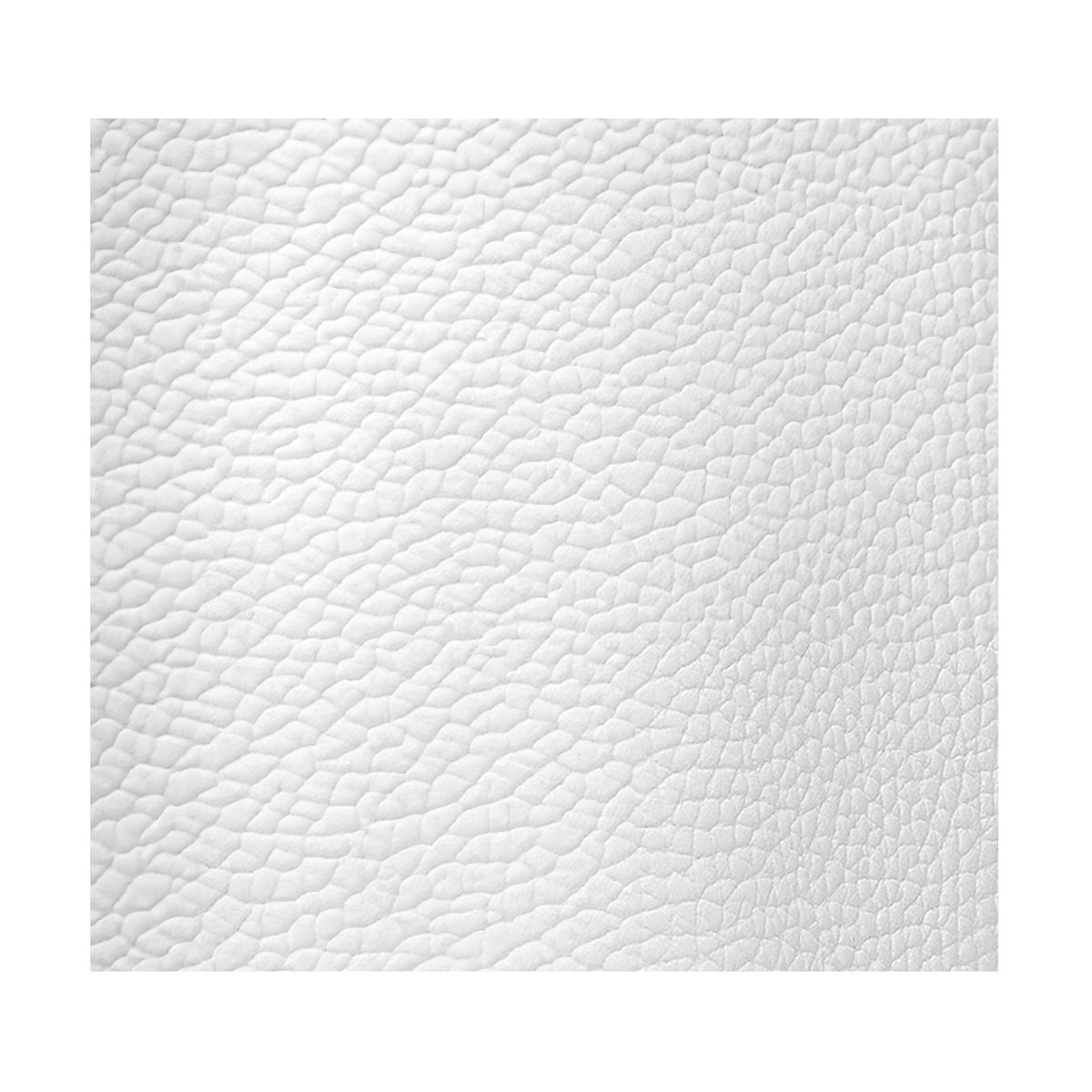 Arizona White Smooth Leather